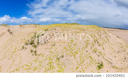 Beach Sand Dunes Ocean Coastline Beach Sand Dunes Ocean Coastline 101420401