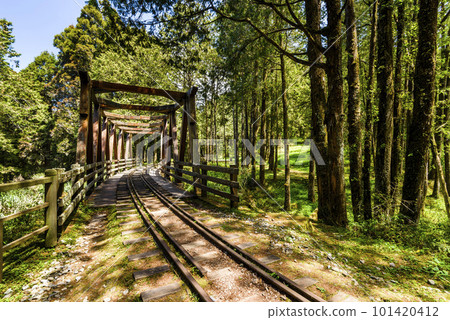 The old forest railway section of the Shuishan Trail at Alishan Forest Recreation Area in Chiayi, Taiwan. Now obsolete and unable to operate. 101420412