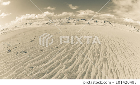 Beach Sand Wetland Textures Dunes Sepia Landscape 101420495