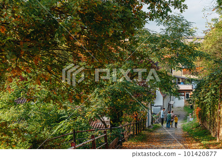 Couple in love walking in park by fall Couple in love walking in park by fall 101420877