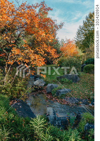 Autumn creek woodland with sunny yellow trees foliage rocks in forest mountain. Idyllic travel hiking landscape, beautiful seasonal autumn nature. Amazing dream scenic colorful outdoor inspire nature Autumn creek woodland with sunny yellow trees foliage rocks in forest mountain. Idyllic travel hiking landscape, beautiful seasonal autumn nature. Amazing dream scenic colorful outdoor inspire nature 101420914