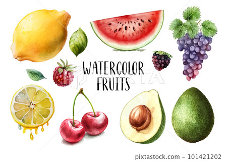 Watercolor painted collection of fruits. Hand drawn fresh food design elements isolated on white background. Watercolor painted collection of fruits. Hand drawn fresh food design elements isolated on white background. 101421202