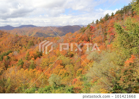 紅葉染紅的里磐梯(福島縣里磐梯市西妻天空谷) 紅葉染紅的里磐梯(福島縣里磐梯市西妻天空谷) 101421668