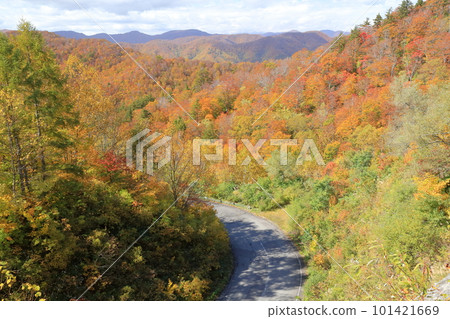 Urabandai dyed in autumn leaves (Nishiazuma Sky Valley, Urabandai, Fukushima Prefecture) Urabandai dyed in autumn leaves (Nishiazuma Sky Valley, Urabandai, Fukushima Prefecture) 101421669