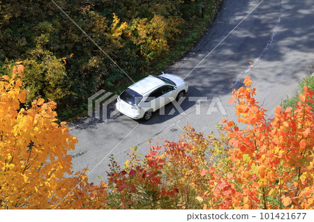 Urabandai dyed in autumn leaves (Nishiazuma Sky Valley, Urabandai, Fukushima Prefecture) Urabandai dyed in autumn leaves (Nishiazuma Sky Valley, Urabandai, Fukushima Prefecture) 101421677