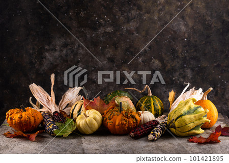 Autumn still life with pumpkin 101421895