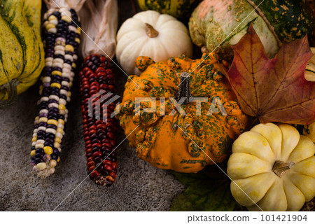 Autumn still life with pumpkin Autumn still life with pumpkin 101421904