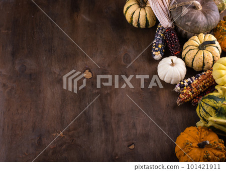 Autumn still life with pumpkin 101421911