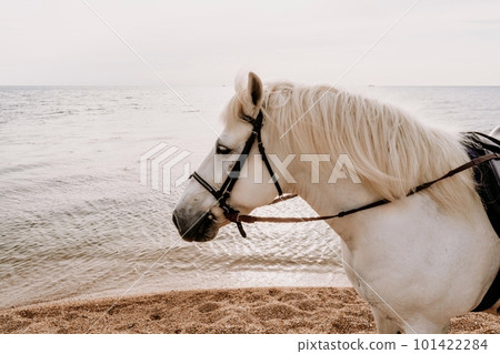 Happy woman and a white horse against the background of the sky and the sea. Happy woman and a white horse against the background of the sky and the sea. 101422284
