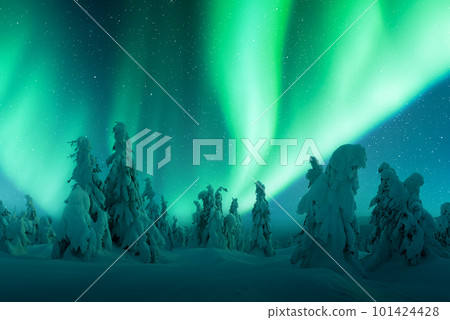 Northern lights in winter forest 101424428