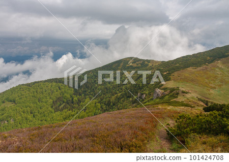 Mountain pass Bublen, view from path to Maly Krivan, national park Mala Fatra, Slovakia, in spring cloudy day 101424708