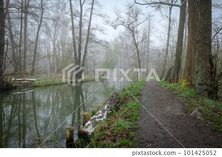 Water canal in spring in the biosphere reserve Spree forest, Spreewald, in Luebbenau in the state of Brandenburg, Germany Water canal in spring in the biosphere reserve Spree forest, Spreewald, in Luebbenau in the state of Brandenburg, Germany 101425052