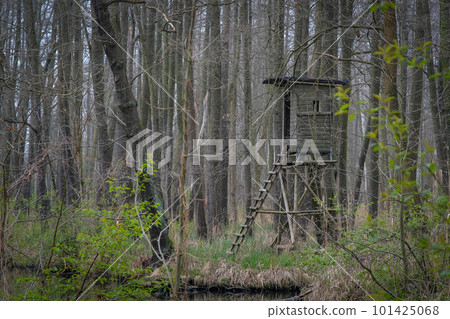 Water canal in spring in the biosphere reserve Spree forest, Spreewald, in Luebbenau in the state of Brandenburg, Germany 101425068