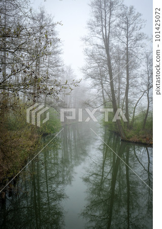 Water canal in spring in the biosphere reserve Spree forest, Spreewald, in Luebbenau in the state of Brandenburg, Germany 101425072