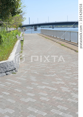 東京江東區 Shiomi Sazanami 公園新綠風光 101426058