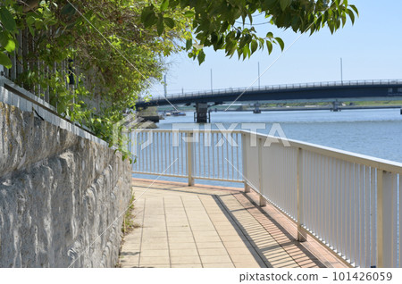 東京江東區 Shiomi Sazanami 公園新綠風光 101426059