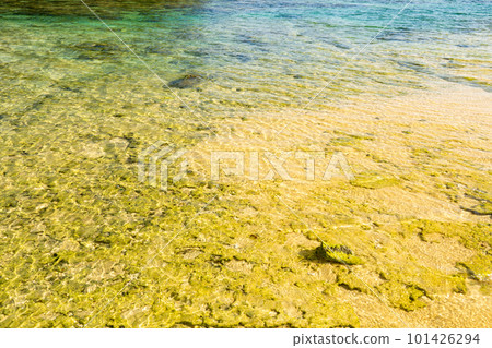 清澈的海水,西表島 Hoshisuna 海灘 清澈的海水,西表島 Hoshisuna 海灘 101426294