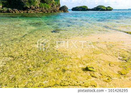 清澈的海水,西表島 Hoshisuna 海灘 清澈的海水,西表島 Hoshisuna 海灘 101426295