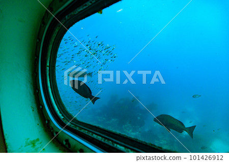 Katsuura City, Chiba Prefecture Katsuura Undersea Observation Tower (undersea observatory) standing in the blue sea 101426912