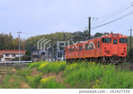 Kiha 40 series diesel train running on the San'in Main Line in spring_Photographed on March 18, 2023 101427339