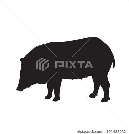 Pig silhouette Pig silhouette 101428932