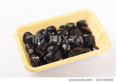 Yamato Clams from Aomori Prefecture Jusanko Yamato Clams from Aomori Prefecture Jusanko 101430486