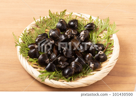 Yamato Clams from Aomori Prefecture Jusanko 101430500