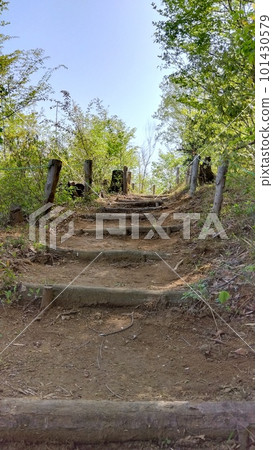 新鮮的綠色森林公路 新鮮的綠色森林公路 101430579