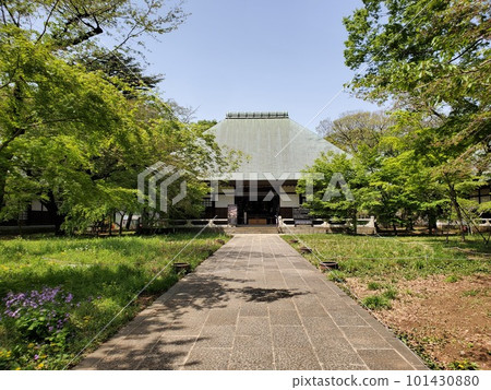 新綠環繞的春天九本佛淨心寺 新綠環繞的春天九本佛淨心寺 101430880