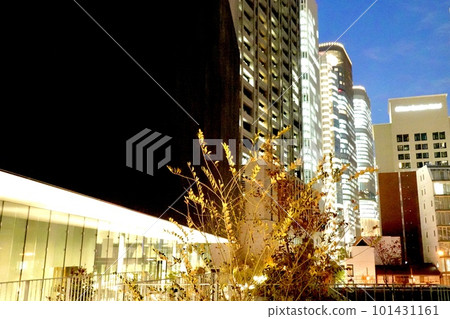 大阪市北區中之島美術館南側夜景 大阪市北區中之島美術館南側夜景 101431161