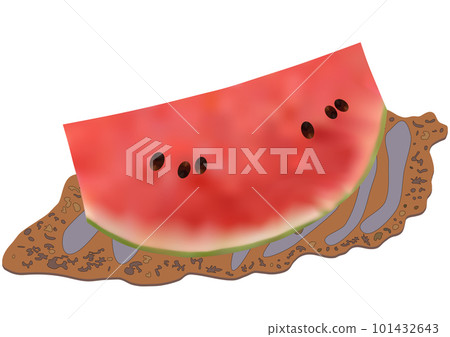 "Cut red small ball watermelon" served on a Japanese plate "Cut red small ball watermelon" served on a Japanese plate 101432643