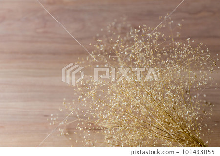 kobanso的干燥花 kobanso的干燥花 101433055