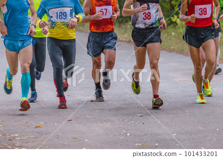 small group athletes runners running race on road in park, autumn marathon, fallen yellow leaves on ground 101433201