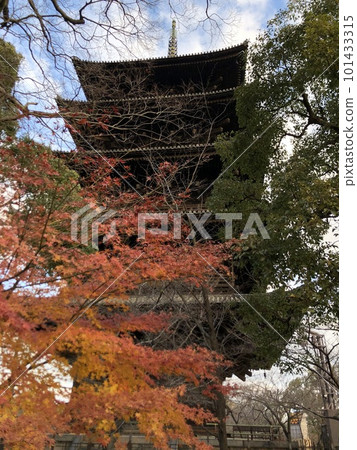 Toji寺和五顏六色的葉子的五層塔 101433315