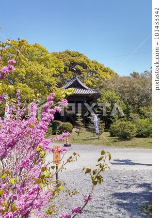 Noma Daibou Main Bldg.Circle Road Daimon Yuki 101433342