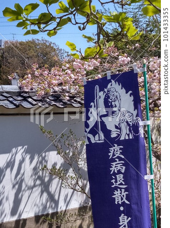 Noma Daibou Main Bldg. Circle Road Daimon Yuki Noma Daibou Main Bldg. Circle Road Daimon Yuki 101433355