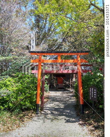 Noma Daibou Main Bldg. Circle Road Daimon Yuki Noma Daibou Main Bldg. Circle Road Daimon Yuki 101433371