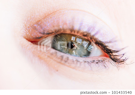 Beautiful gray-blue eyes with long lashes. Young woman, a girl is looking directly in camera. Visual gymnastics for improving vision. Female look down. Beautiful mauve makeup, eyeshadow with shimmer. Beautiful gray-blue eyes with long lashes. Young woman, a girl is looking directly in camera. Visual gymnastics for improving vision. Female look down. Beautiful mauve makeup, eyeshadow with shimmer. 101433540