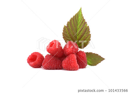 Raspberry berries isolated on white background Raspberry berries isolated on white background 101433566