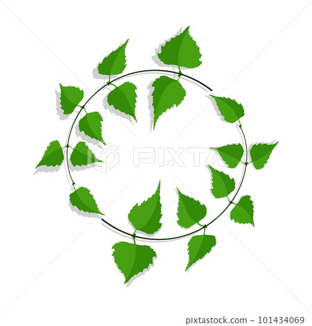 Decorative frame made of thin birch twigs and green leaves. Floral ornament for the design and decoration of invitations and posters. Round frame. Vector 101434069