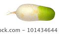 fresh radish 101434644