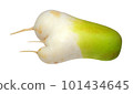 fresh radish 101434645