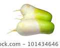 fresh radish 101434646