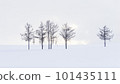 winter 101435111