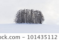winter 101435112