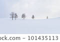 winter 101435113