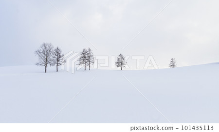 winter winter 101435113