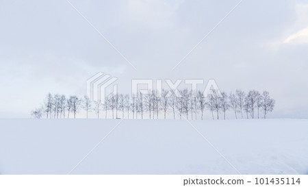 winter winter 101435114