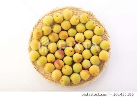 漏勺中的李子 漏勺中的李子 101435196