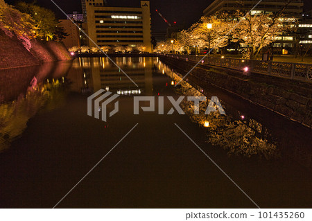 Night cherry blossoms at Fukui prefectural moat 101435260
